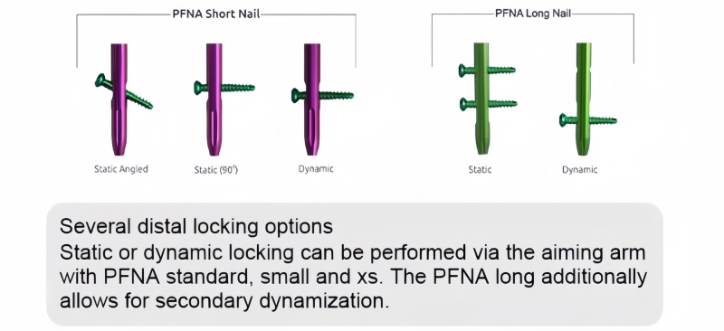 PFNA Nail